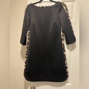 Size 4 Vince Camuto black dress with leopard detail